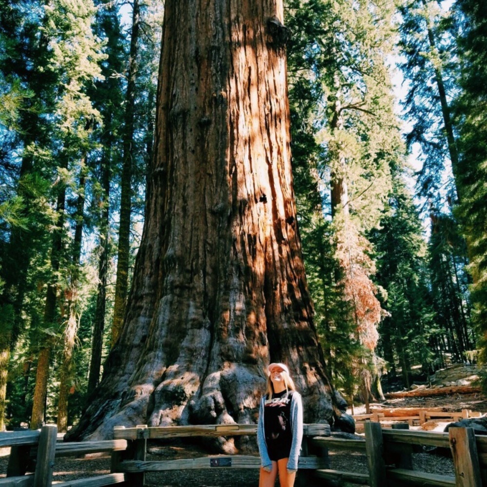 Meet your Posher, Riley - Picture 3 of 3